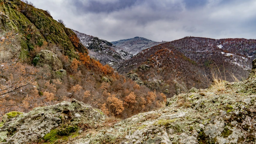 a scenic view of a rocky mountain with colorful moss growing on the rocks