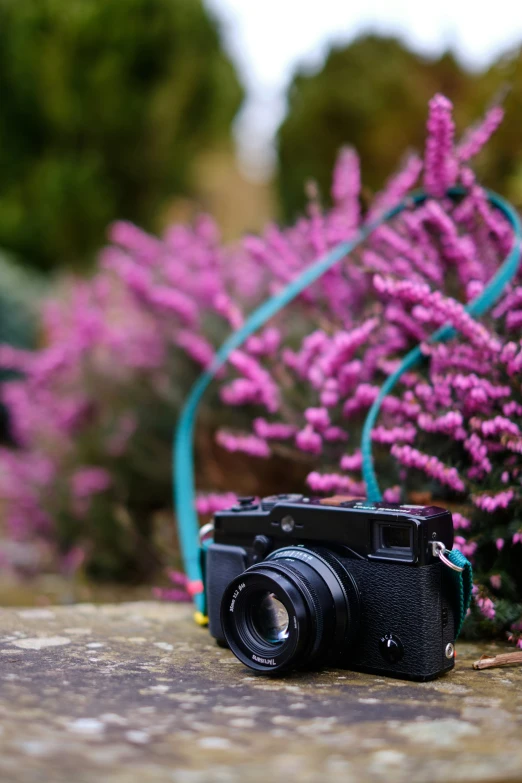 a camera sitting on top of a rock next to a bush