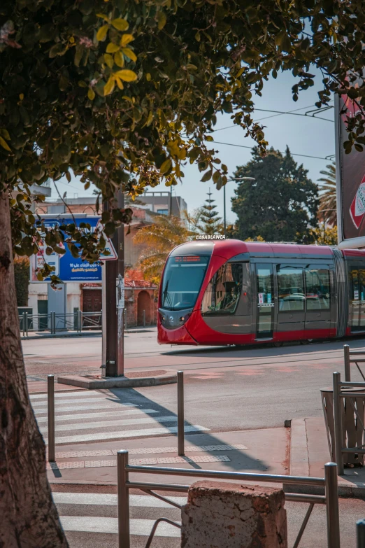 a train is traveling down the road and on the tracks