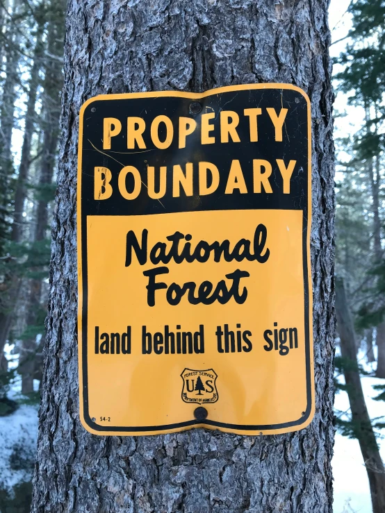 a yellow and black sign nailed to a tree