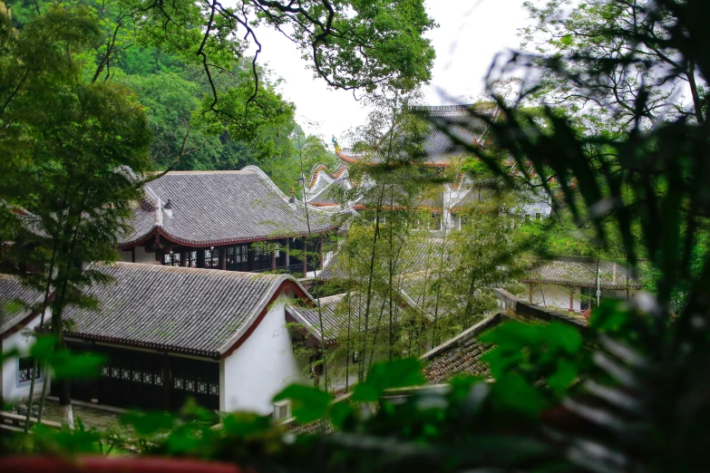 the house is very old but nice in its landscape