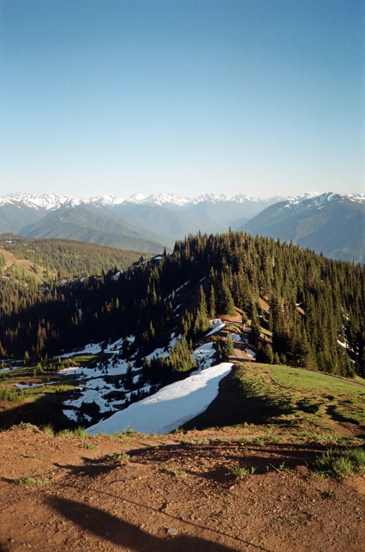 a mountain side view with a snow covered ridge and evergreen trees