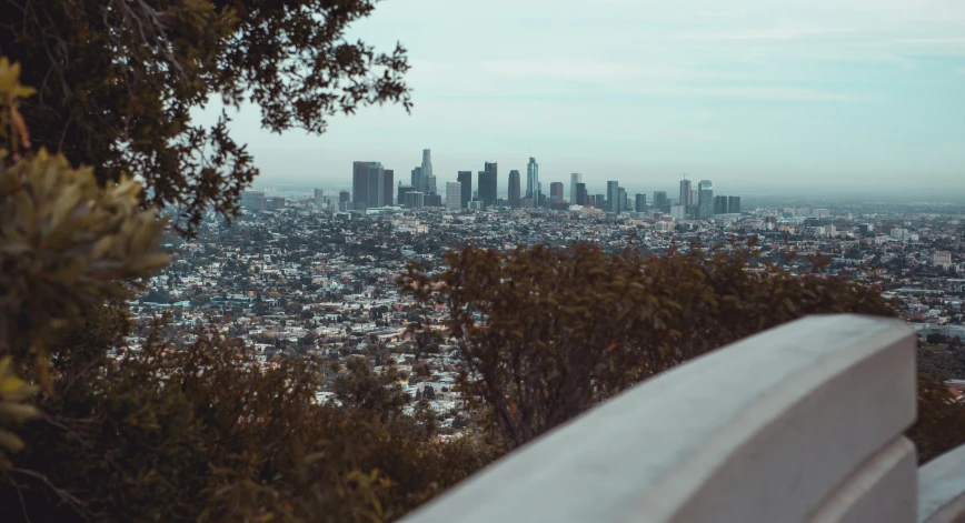 the skyline seen from a hill top overlook of a city