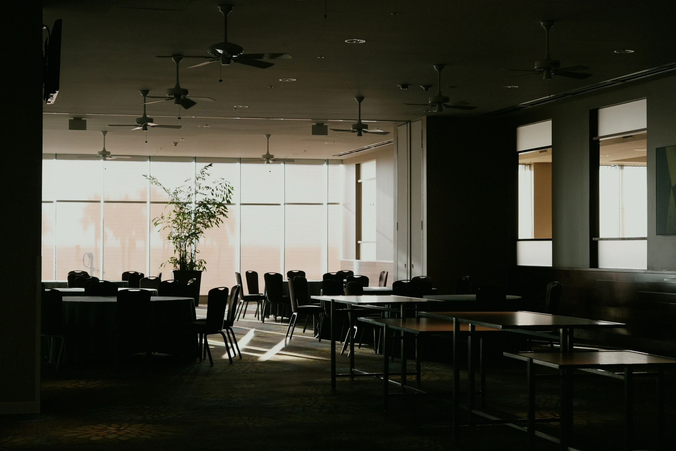 tables and chairs in a dark cafeteria with windows