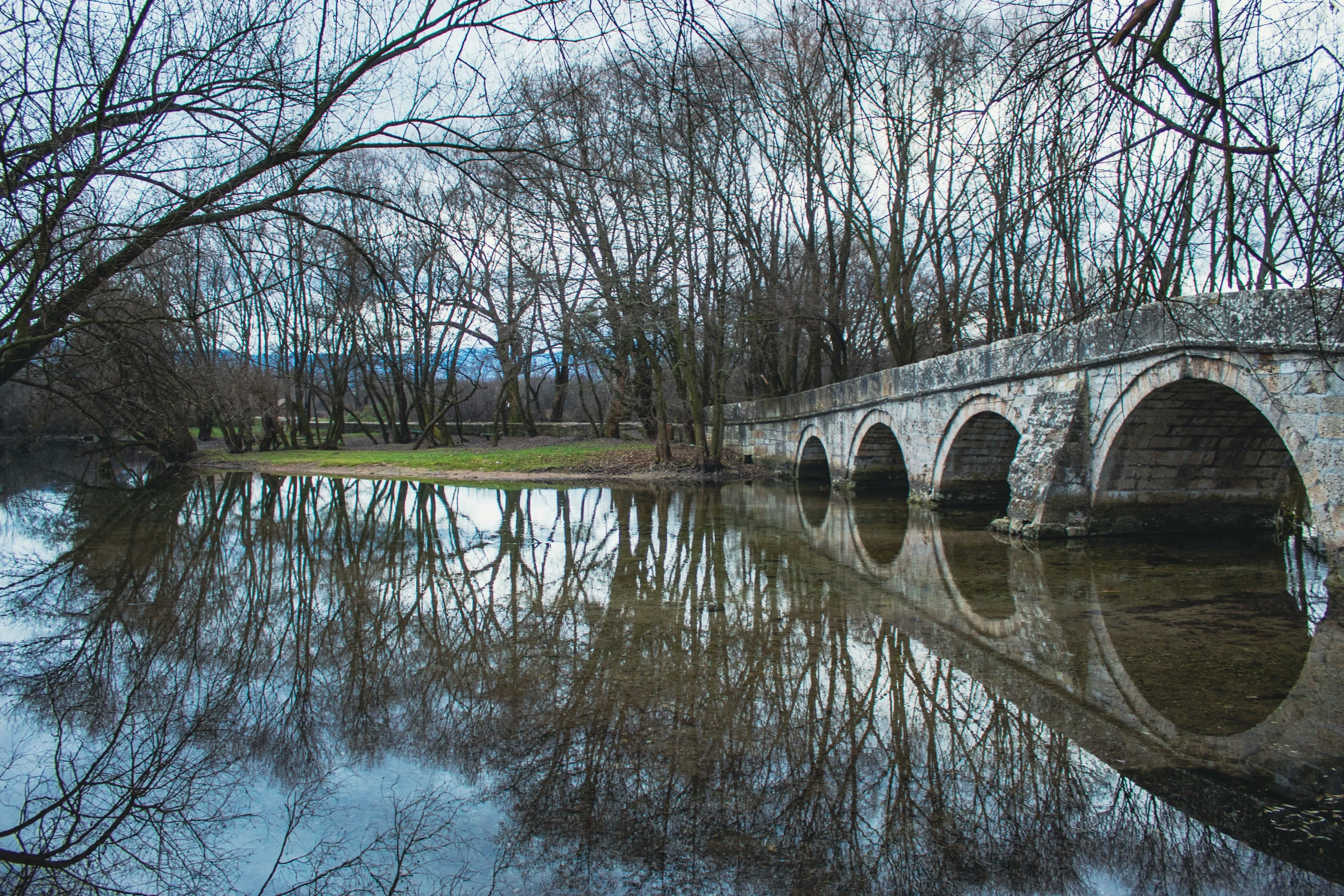 a bridge that is over water with many trees