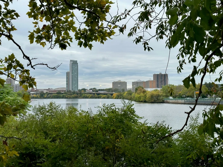 a body of water that has trees in front of it