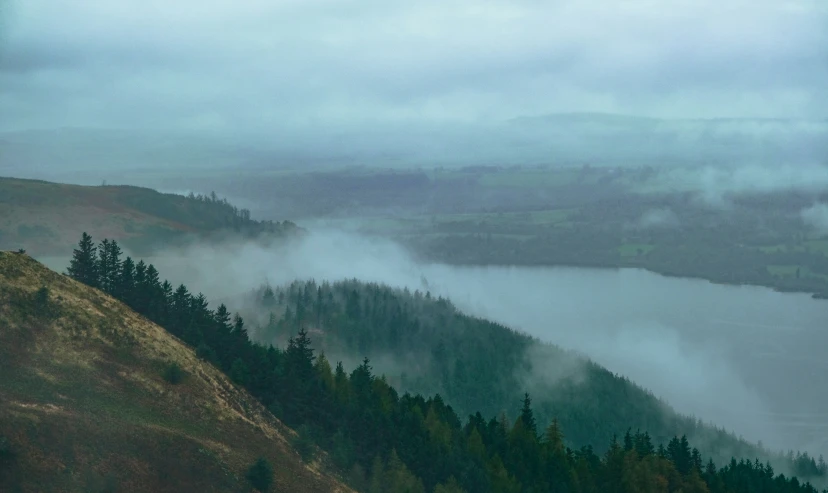 fog fills the water on a mountain with tall trees