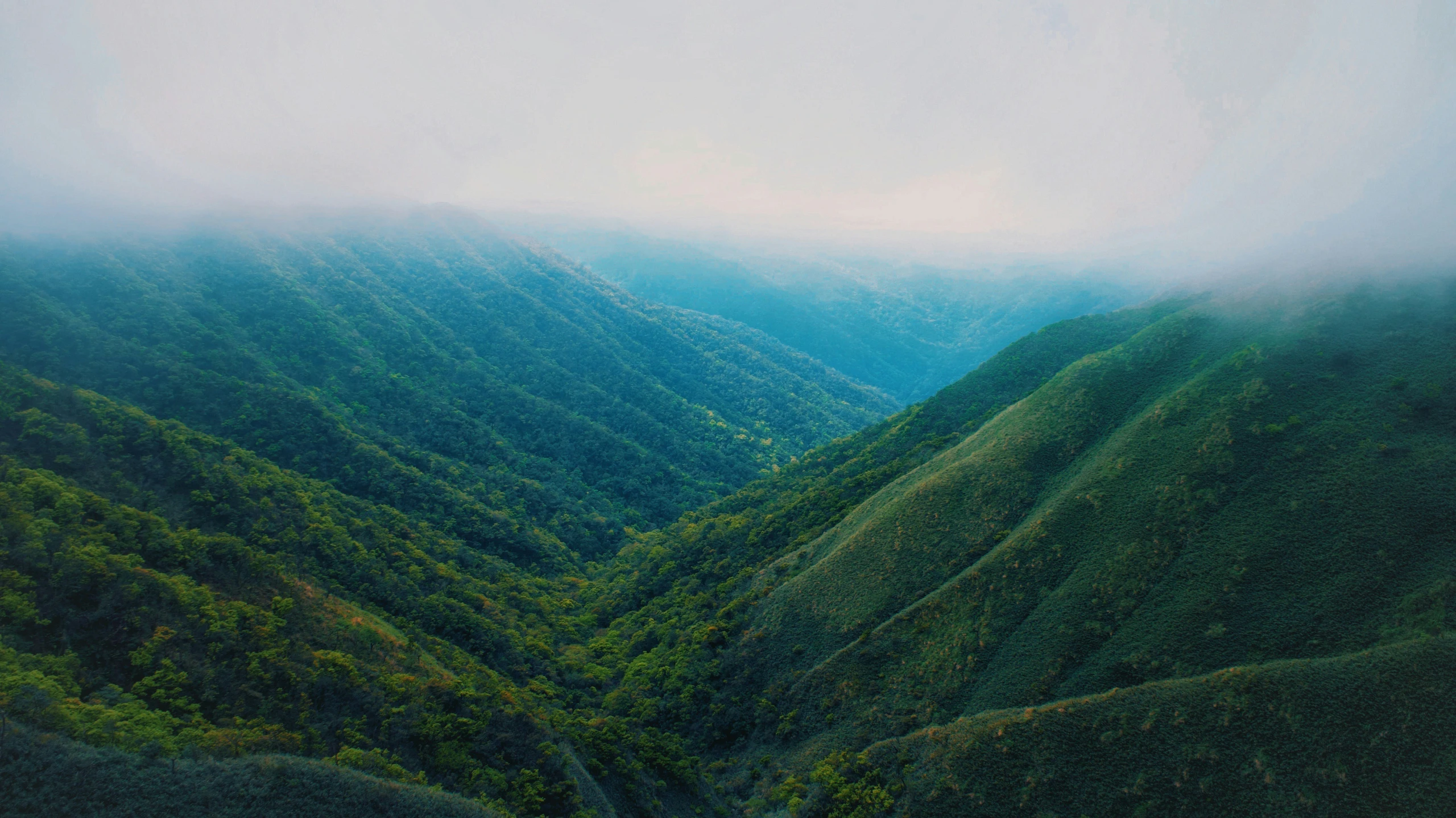 this is a scenic image of mountains in the mist