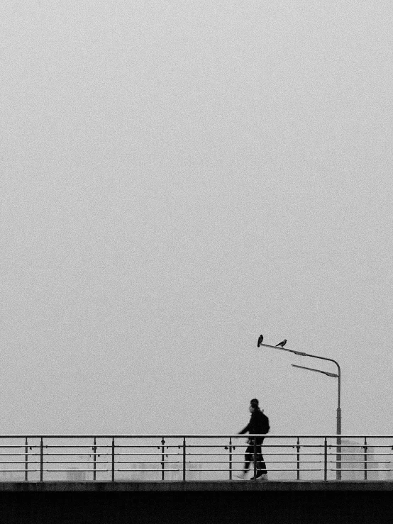 a person on a bridge with a bird on his head