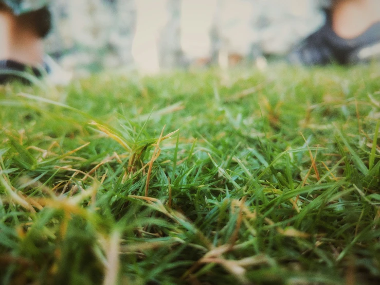 a person is walking in the grass with their feet close