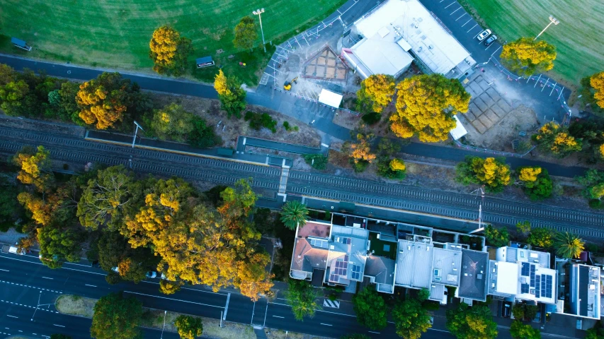 aerial view of building in city area surrounded by foliage