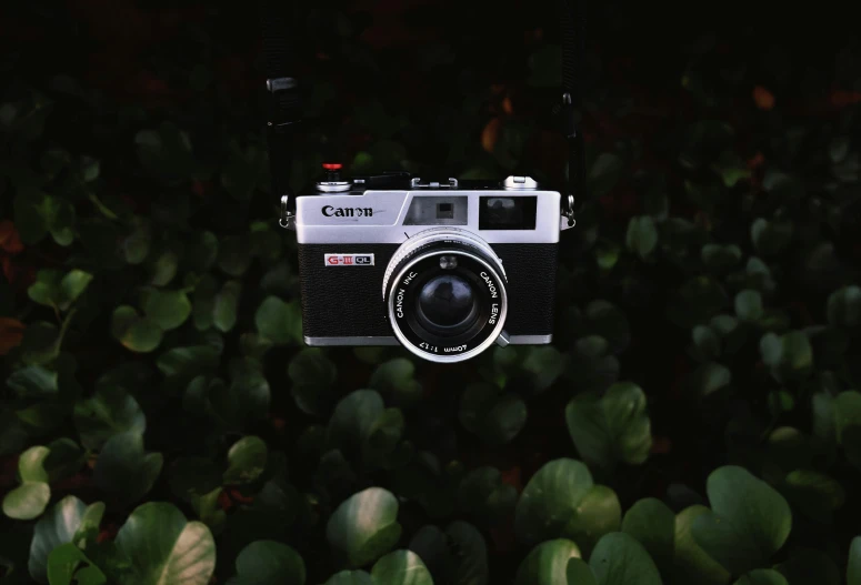 a camera is shown in the middle of some green leaves