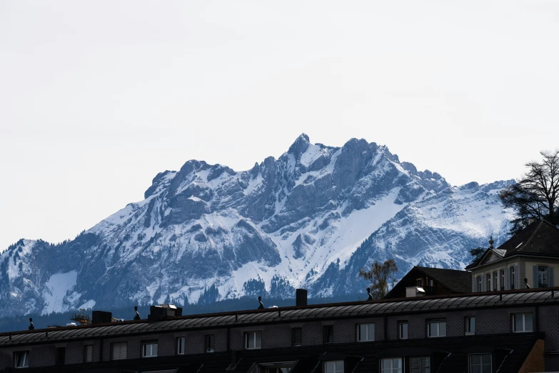 the snow covered mountains in the distance are behind residential houses