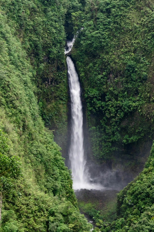 a narrow canyon that is covered with trees and water