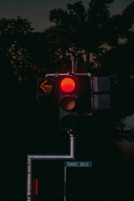 traffic light lit red at night with trees in the background