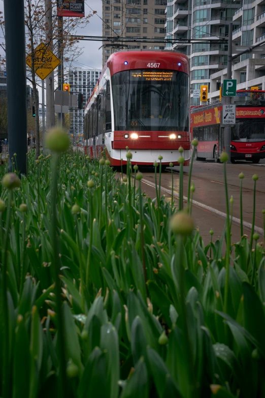 a public transit bus traveling down the road near some green grass
