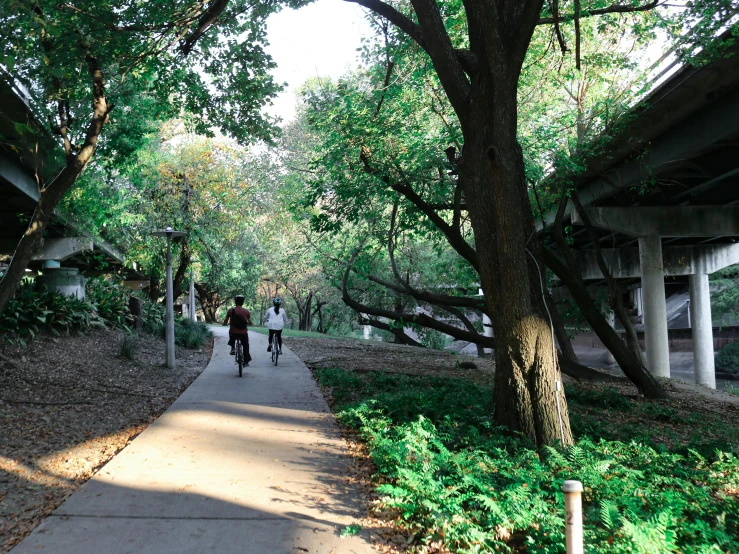 people are biking down the path on a sunny day