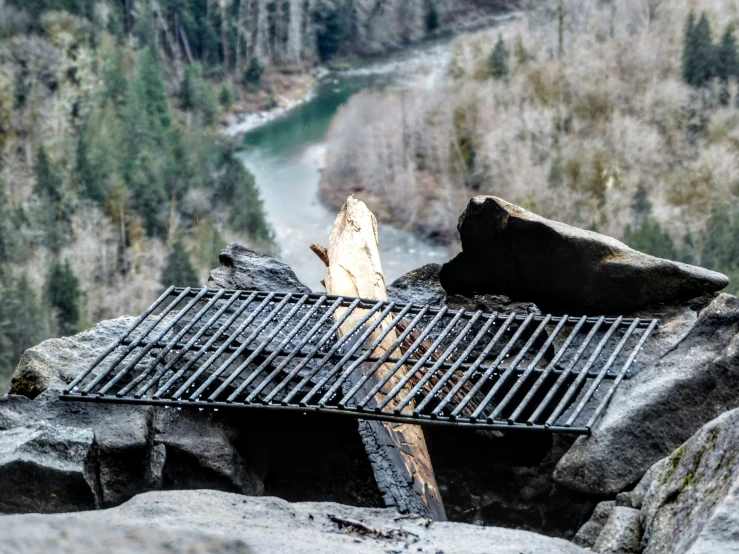 there is a bird sitting on the grill on the rocks