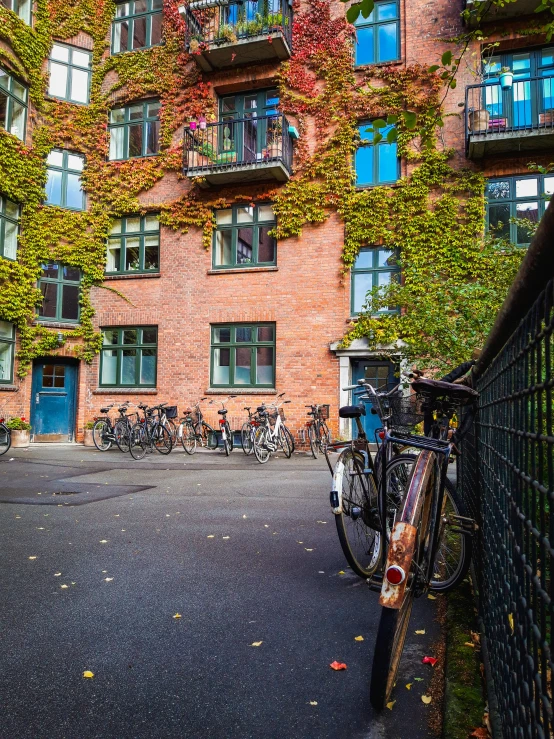 bicycles parked outside of a building covered in leaves