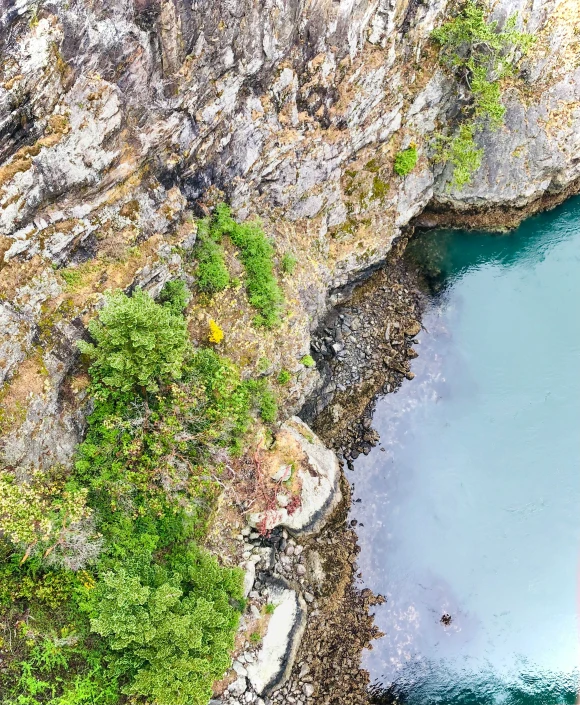 the blue water near the cliff face is completely filled with plants