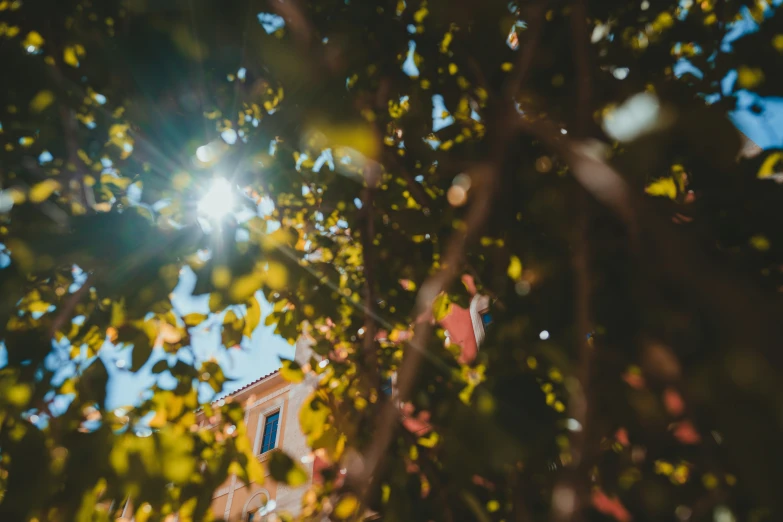 view from below, the sunlight reflecting off of a building