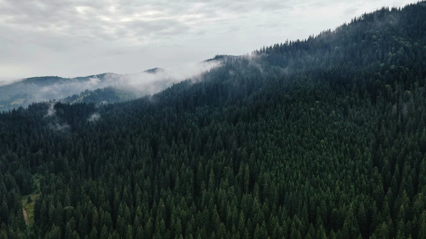 a tree covered mountain with clouds in the air