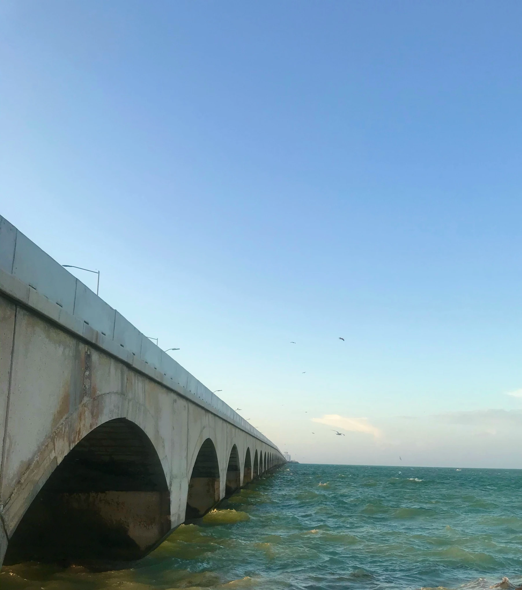 birds fly above the ocean as the sun sets