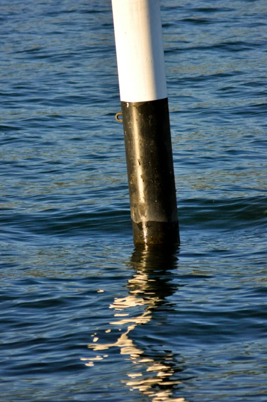 a picture of some water with a pole in it