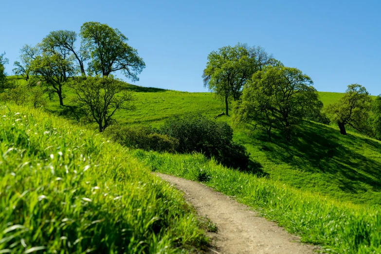 a dirt road that is next to a field