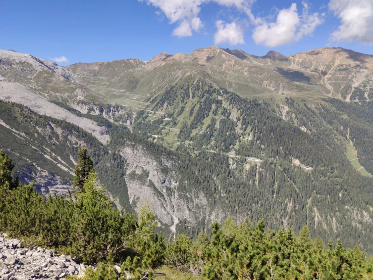 a group of mountain goats graze with beautiful scenery