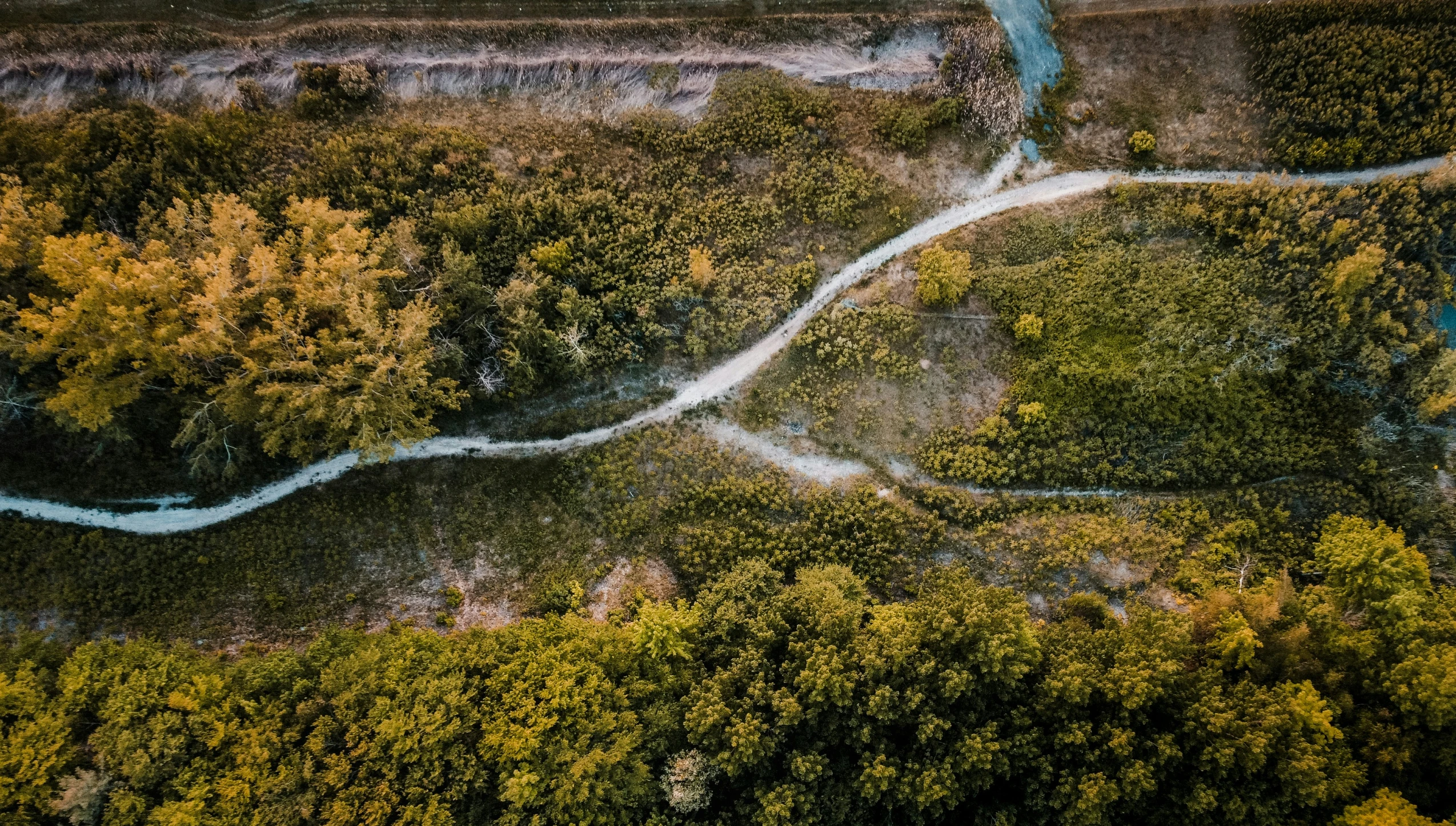 an aerial view of a river running through a lush green forest