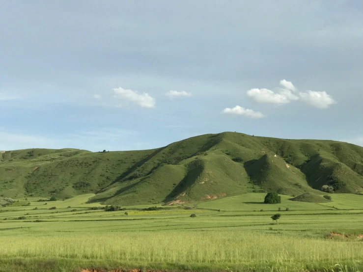 grassy field with hill in background under blue sky