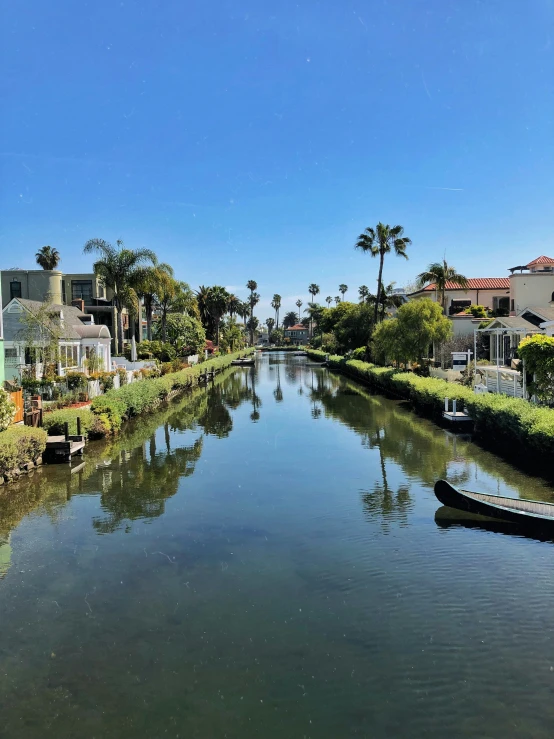 a narrow waterway running between houses with long trees