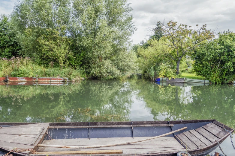 a boat in a calm river near a forest