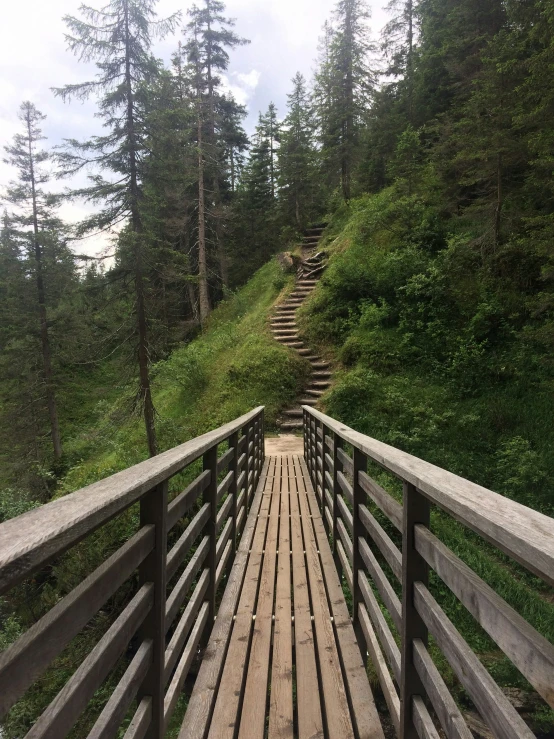 a wooden pathway leads down into the woods