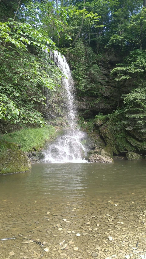 a waterfall near the water that is surrounded by forest