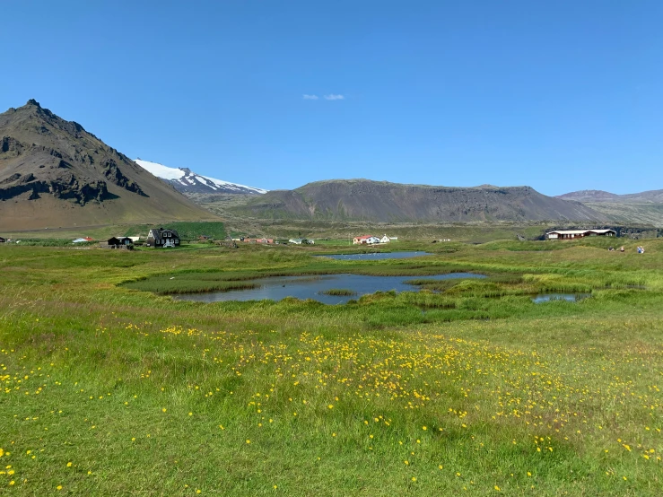 a couple of animals walking through a field near mountains