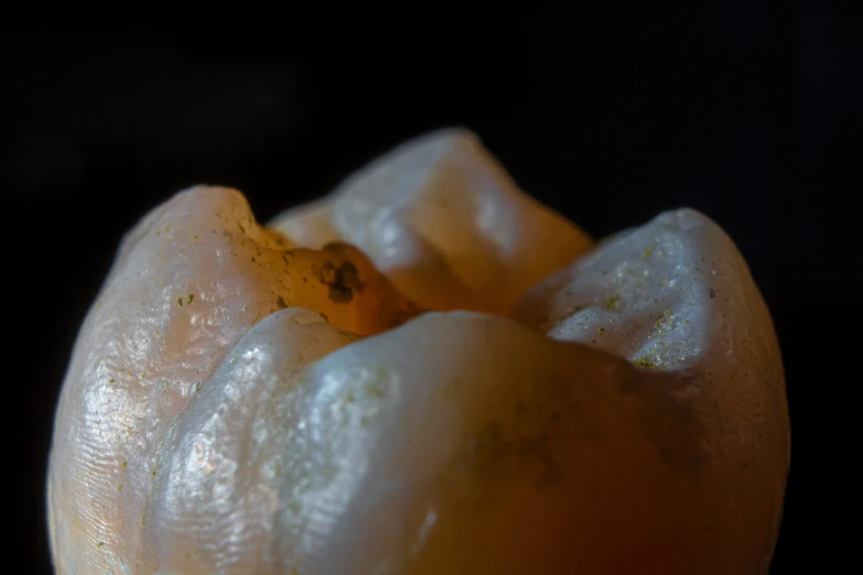 closeup of a peeled orange, in dark room