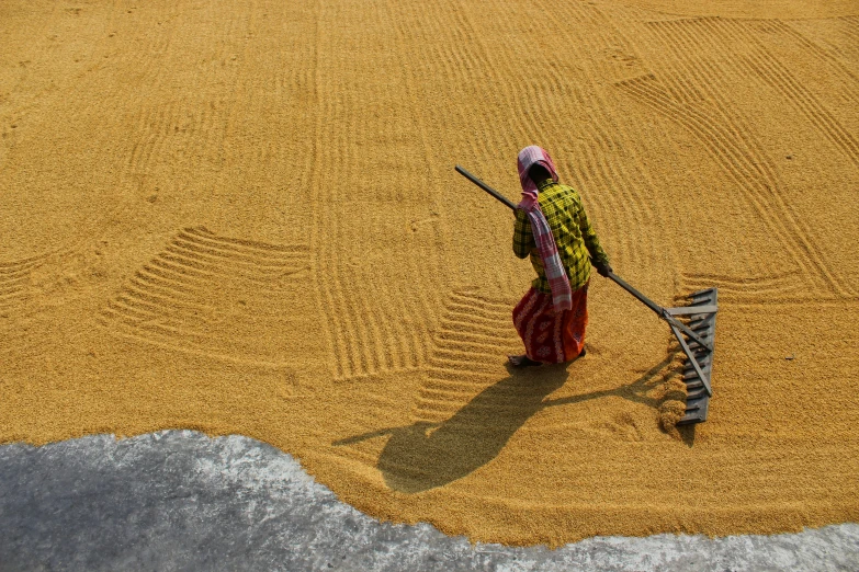 a person with a shovel walking along a road