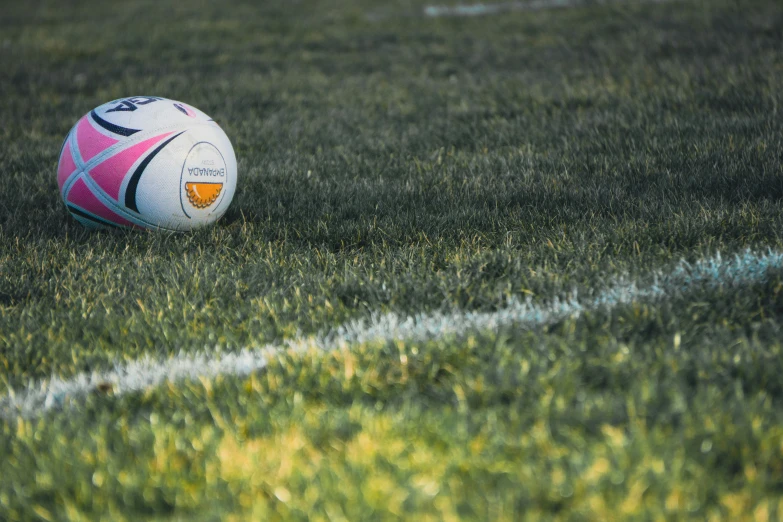 a close - up of a soccer ball in the grass