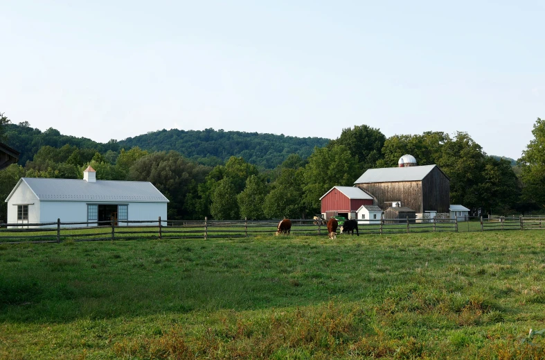 three farm buildings on either side of a field with trees in the background