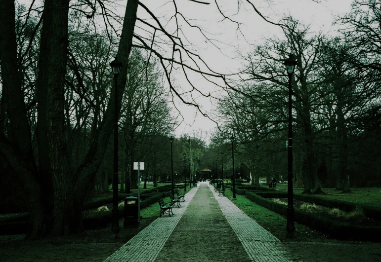a wide paved path surrounded by leafless trees