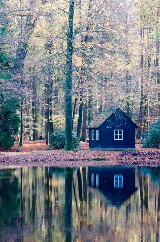 a cabin sits next to a large lake