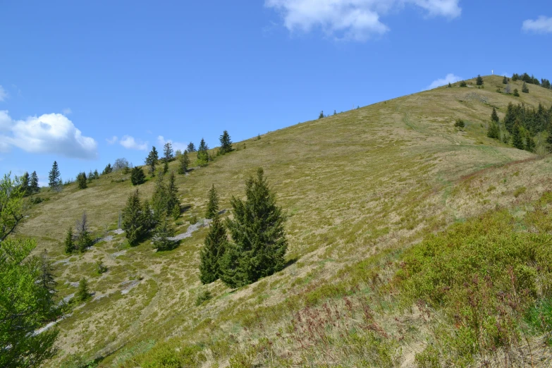 the top of a mountain in the distance is covered with grass