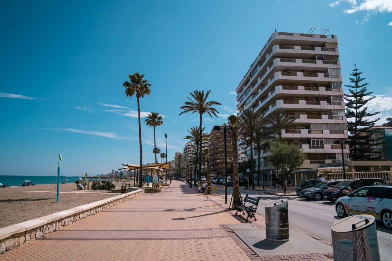 there are palm trees lining the sidewalk near the beach