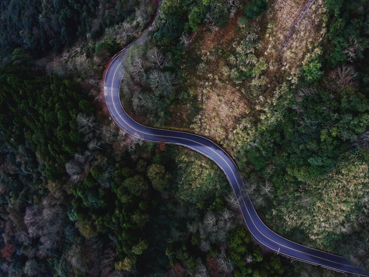 an aerial view of a curved road with trees