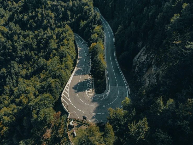 a road winding through an area covered in trees