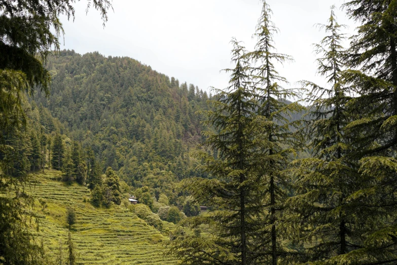 a mountain with trees and hills in the background