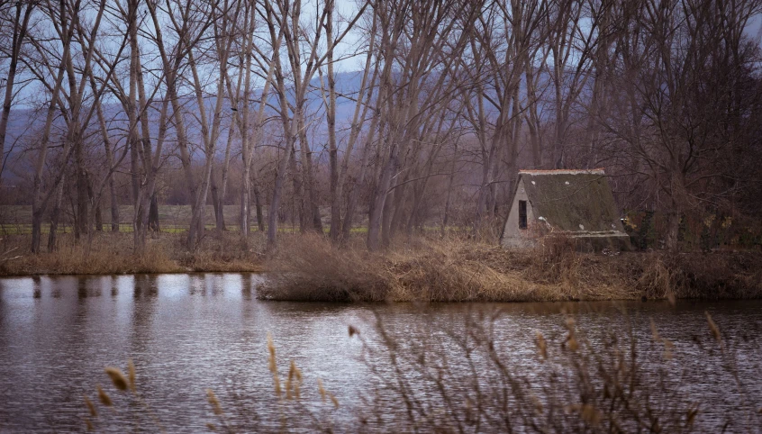 the house is sitting on the bank of a small lake