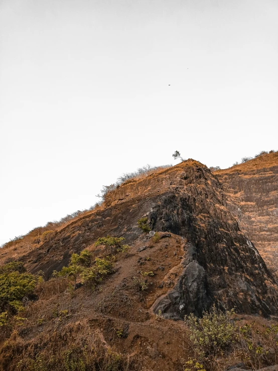 a brown mountain with some trees on top